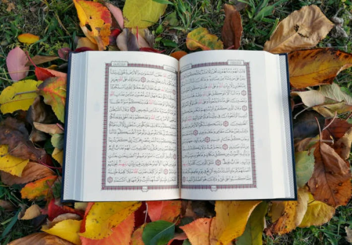سورة الفتح مكتوبة كاملة بالتشكيل