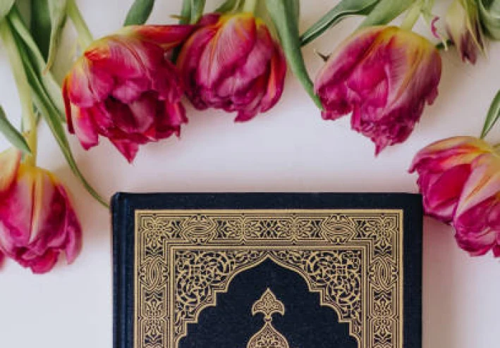 سورة النجم مكتوبة كاملة بالتشكيل
