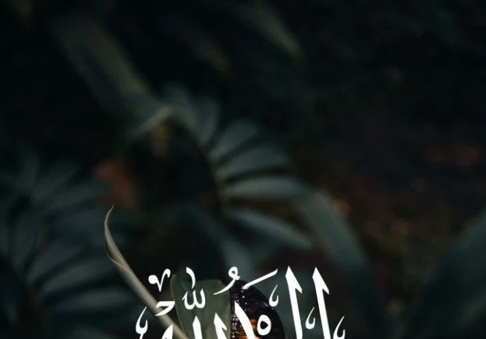 بالحمد تحلو الحياة وتذهب الهموم