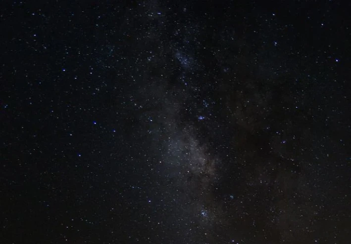 الجمل(حيوان أليف نوع من الجن؟)