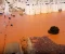 Over 3,000 killed and missing in Libya cyclone disaster