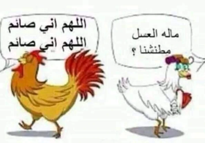 حكايات مضحكه جدا