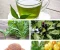 article image for قصة السمكة و البحث عن الحرية