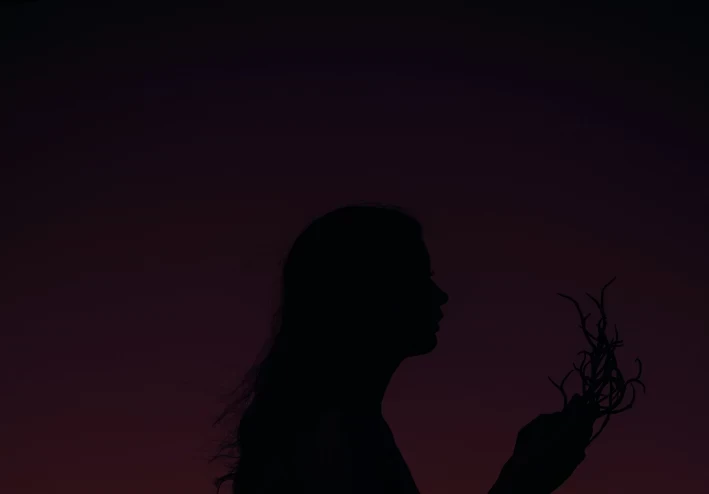 سرد سينمائي مبهر: أميرات الشاشة وقصصهن الحقيقية