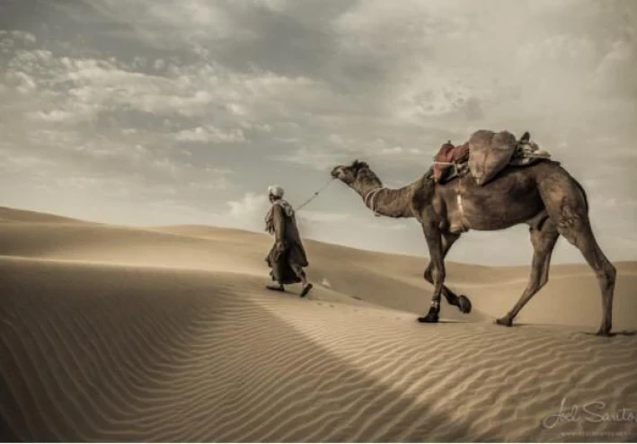 قصة عروة بن الزبير و صبره على المصائب