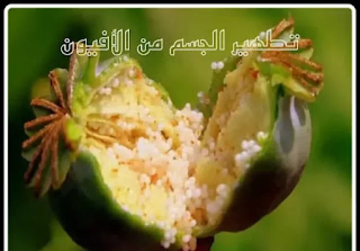 تطهير الجسم بعد الإقلاع عن الأفيون