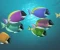 أسماك الزينة وسمكة تانج Tang و Surgeonfish