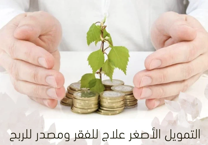 اثر شركات التمويل الاصغر على المجتمع