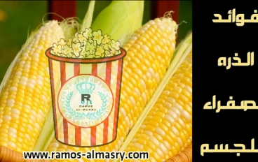  فوائد الذره الصفراء للجسم