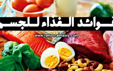 أهمية التغذية للجسم