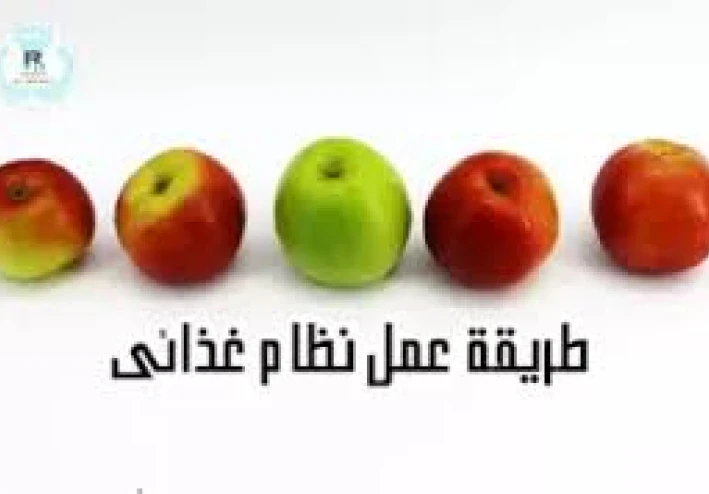 طريقة عمل نظام غذائي