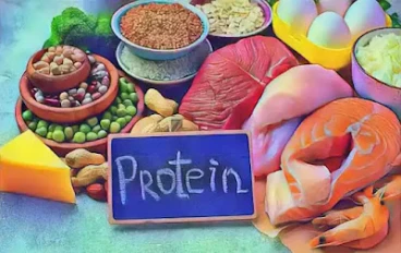 ما هي البروتينات وما هي وظائفها
