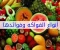 article image for 10 اكلات سريعة التحضير للغداء مفيش اختلاف عليها