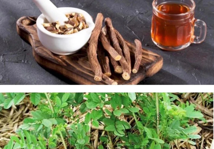 فوائد واضرار العرق سوس للجسم .