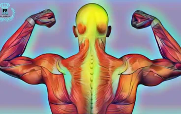 أسباب آلام العضلات - تدابير وعلاجات لألم العضلات - الوقاية من آلام العضلات