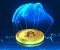 article image for تحذيرات ونصائح للتعامل مع العملات الرقمية في ظل الظروف الخطرة Warnings and tips for dealing with digital currencies