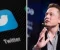 The formal answer to Twitter's complaint from Elon Musk's legal team has been made public