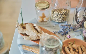 دليل النباتات الطبية: صيدلية الطبيعة من التصنيف العلمي إلى الفوائد العلاجية