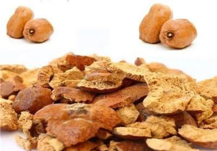 نبات الدوم وفوائده الصحيه للجسم