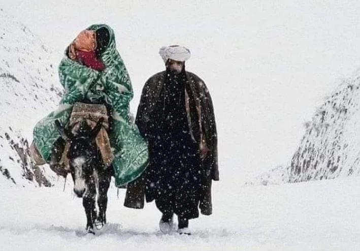 مقال بعنوان جواهر المـرء في ثلاث:*