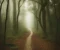 صورة مقال Title: "Whispers in the Mist"