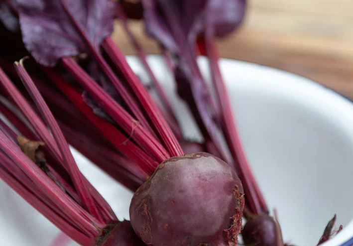 فوائد البنجر (الشمندر) وطرق زراعته: دليلك الشامل لصحة مثالية وحديقة مثمرة