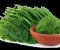 article image for شاى المورينجا واهميته