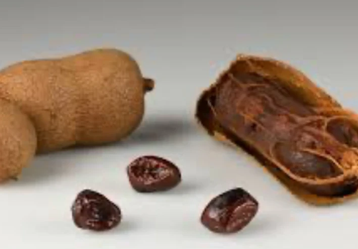 فوائد وأضرار التمر الهندي 