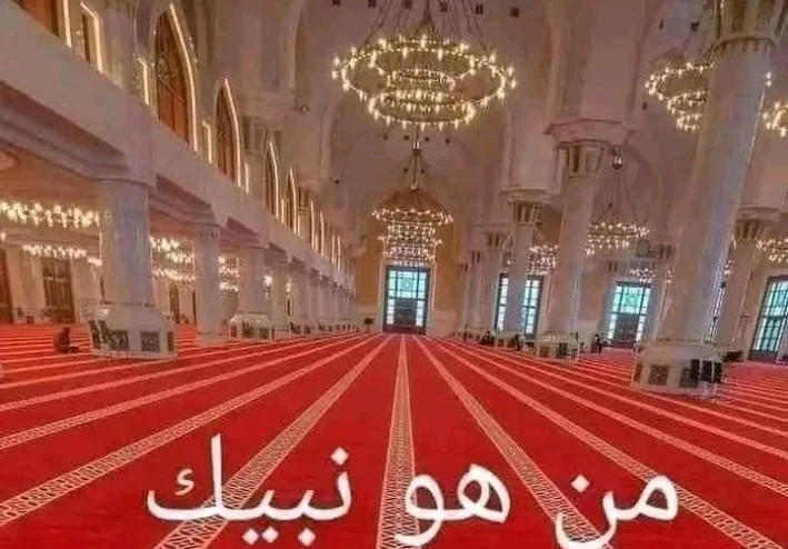 قصه سيدنا سليمان عليه السلام