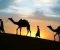 العبرة من هجرة سيد البشر