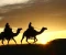 article image for ماهو سبب هجرة سيدنا محمد من مكة إلى المدينة؟