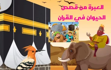 قصص الحيوان في القرأن