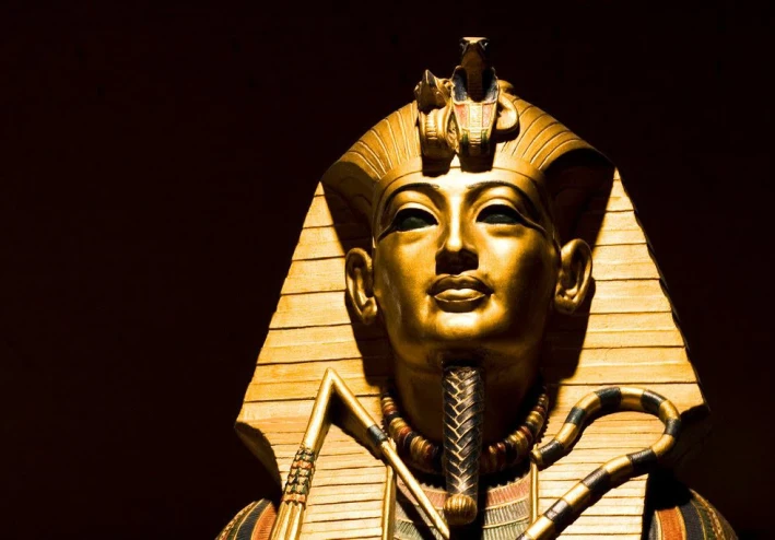 نشأة التربية والتعليم في مصر