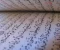 article image for السيره النبويه كما لم تقرأها من قبل