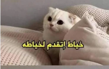 قصص مضحكه جدا عن 3قصص