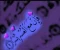 صورة مقال الصلاه فرض عليك  من غير الصلاه طعم الحياه هيكون سيئ
