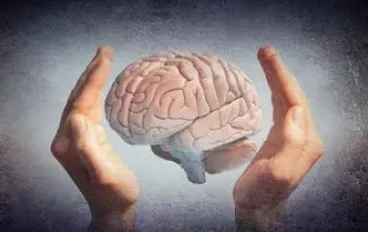 هل يمكن أن تحدث شيخوخة الدماغ بسرعة في سن مبكر؟ الإجابة هتفاجئك