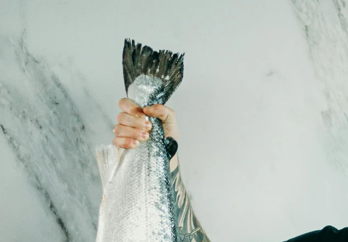 السمك ( انواعه وفوائده وطريقة تحضيره)