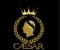 صورة مقال الربح من منصة CeasarGame: هل هو حلال أم حرام؟ وهل الموقع صادق أم لا؟