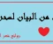 article image for أجمل ما قيل من الشعر العربي