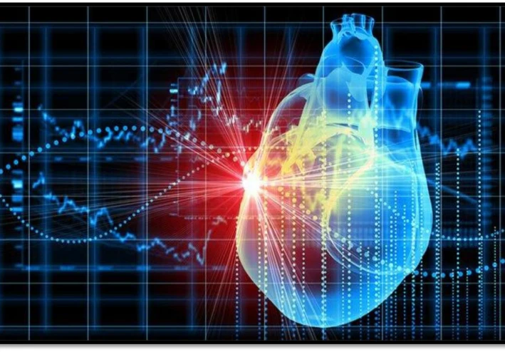 أسرار صحة القلب: دليلك للحفاظ على قلب قوي في 2024