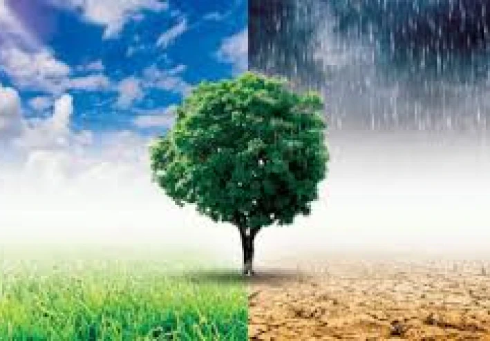 التغير المناخي وآثاره السلبية علينا