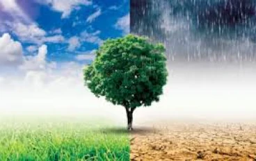 التغير المناخي وآثاره السلبية علينا 