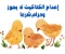 article image for إعدام الكتاكيت لا يجوز وحرام شرعا