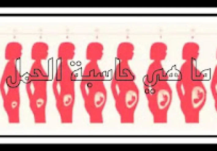 ما هي حاسبة الحمل؟