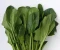 article image for Top Health Benefits of Spinach: Boost Immunity, Heart Health, and Brain Function Naturally