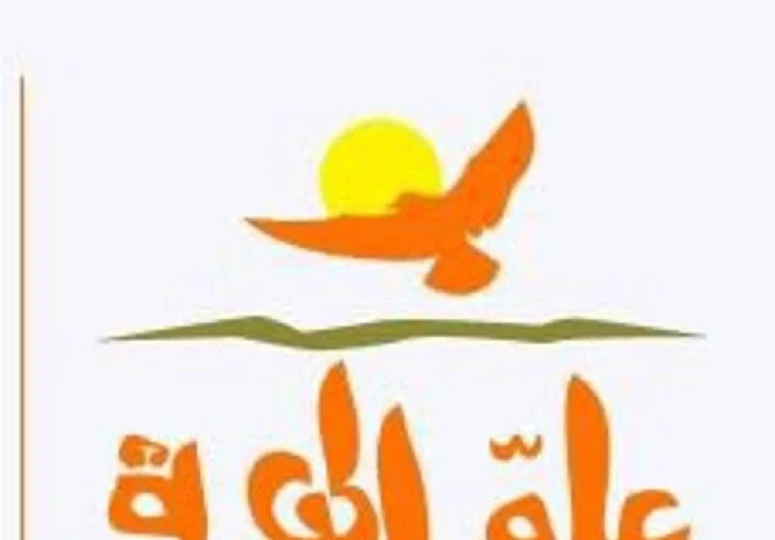 علو الهمة طريقك الي القمة