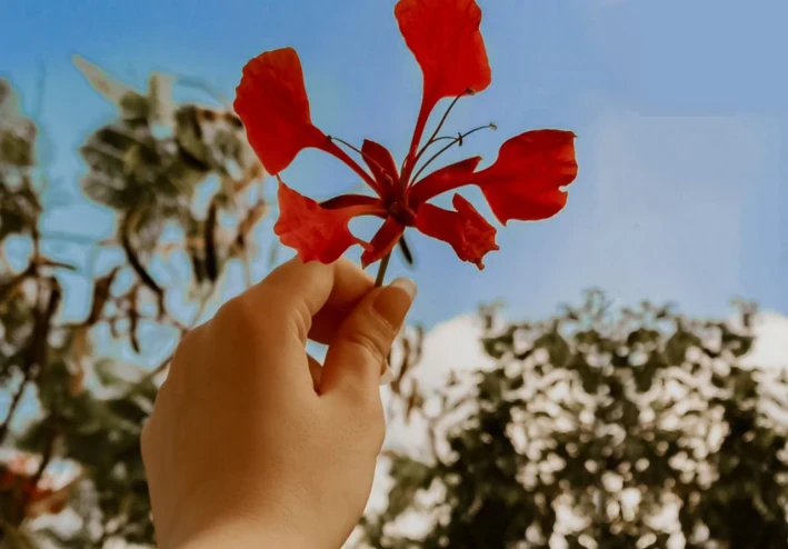 🍁 فضل خدمة الناس وتفريج كرباتهم