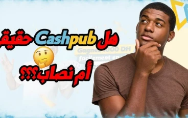 Cashvibe: هل هو موقع صادق أم نصاب؟ هل يدفع المال أم لا؟