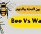 صورة مقال الفرق بين النحلة والدبور